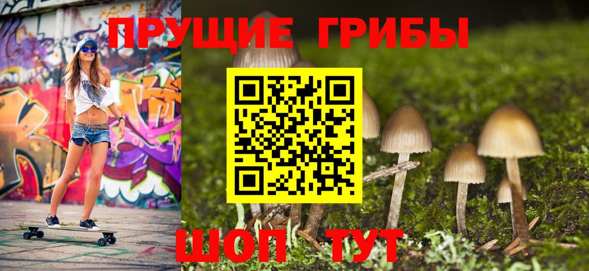 Черняховск  Псилоцибиновые грибы мухоморы  Вход с VPN 